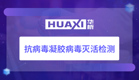 抗病毒凝胶病毒灭活检测