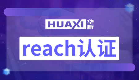 reach认证