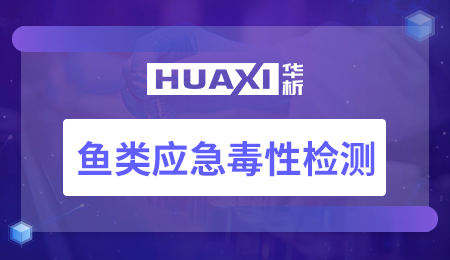 鱼类应急毒性检测