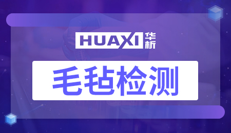 毛毡检测