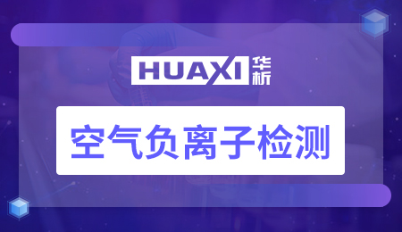 空气负离子检测
